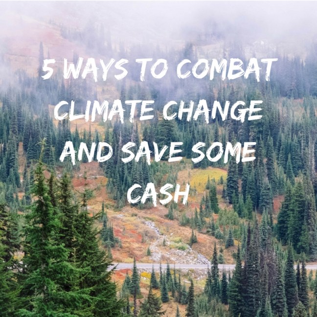 5 Ways to Combat Climate Change and Save Some Cash